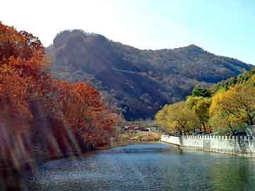 新澳天天开奖资料大全旅游团，古武都市行